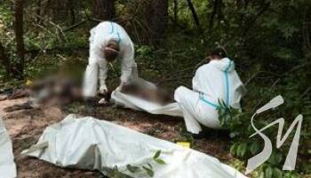 �������� ���� � ������ �������� ���������� 8311 �������� ���, ����� ��� 437 ���� - �����������